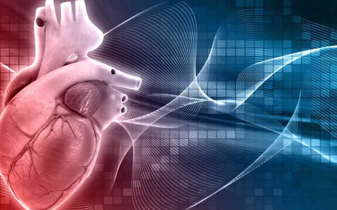 Definitia cardiologiei – ce este cardiologia?