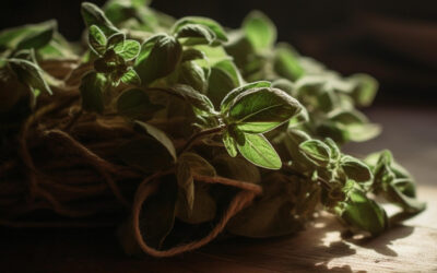 Cum se folosește salvia pentru purificarea interioarelor