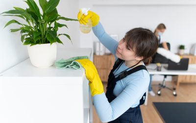 Cele mai bune metode de a scapa de praf