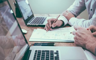 POT CUMPĂRA ROVINIETA ONLINE ȘI INSTITUȚIILE PUBLICE?