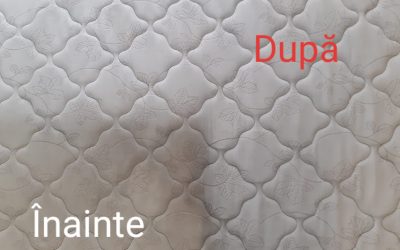 Spalatorie profesionala cu aburi pentru curatare igienizare canapele saltele fotolii in ORADEA