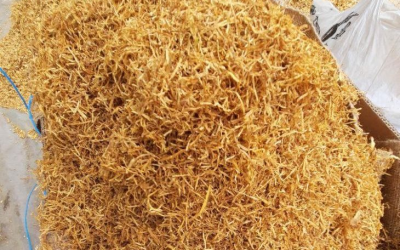 Descoperiți mai multe despre planta care a modelat comerțul global