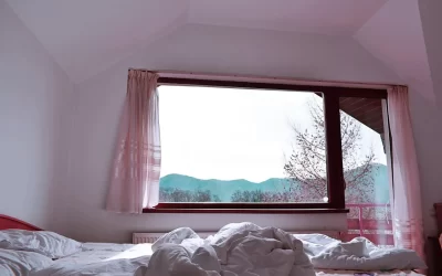 Cum alegi ușile termopan potrivite pentru balcon sau terasă