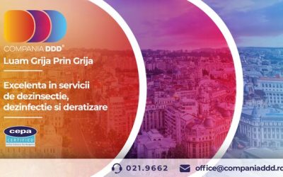 Cum se desfășoară o acțiune completă de deratizare și de ce este vitală pentru siguranța alimentară în restaurante și spații comerciale