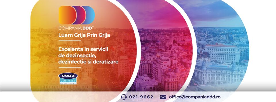 Cum se desfășoară o acțiune completă de deratizare și de ce este vitală pentru siguranța alimentară în restaurante și spații comerciale