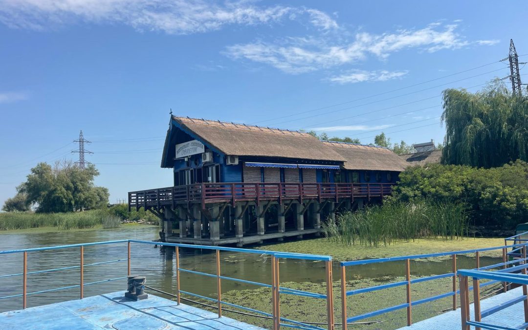 Delta Dunării, colț de natură rupt din rai