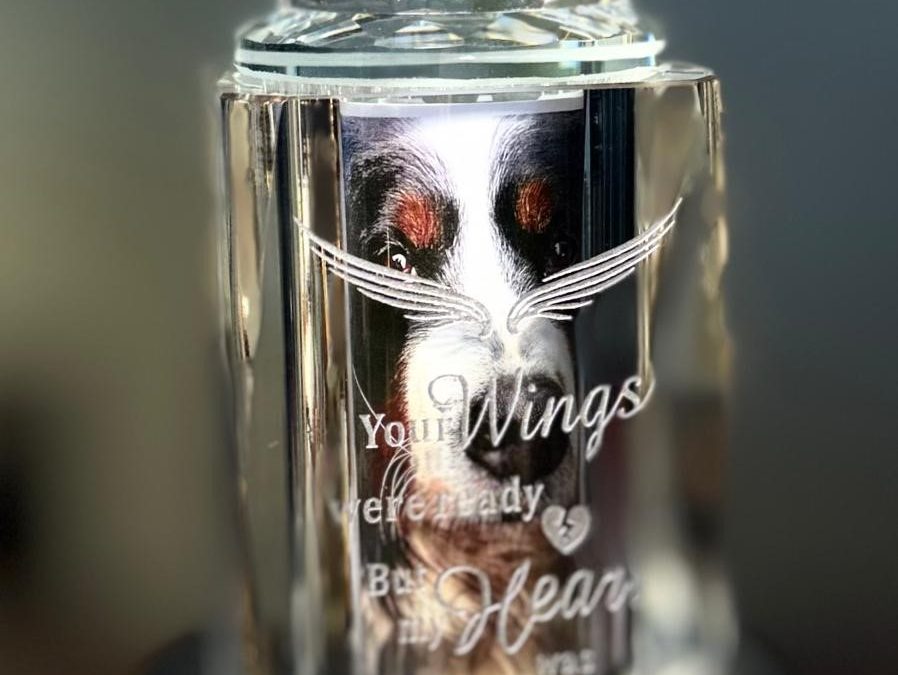 De ce incinerarea individuală este o alegere plină de respect pentru animalele de companie