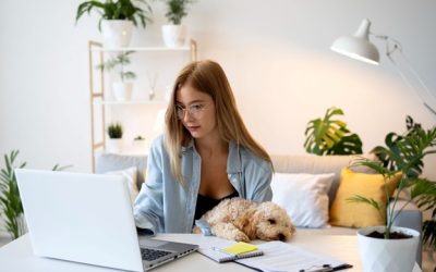 De ce cumpărătorii români aleg Infinity pentru electronice: factori de decizie reali